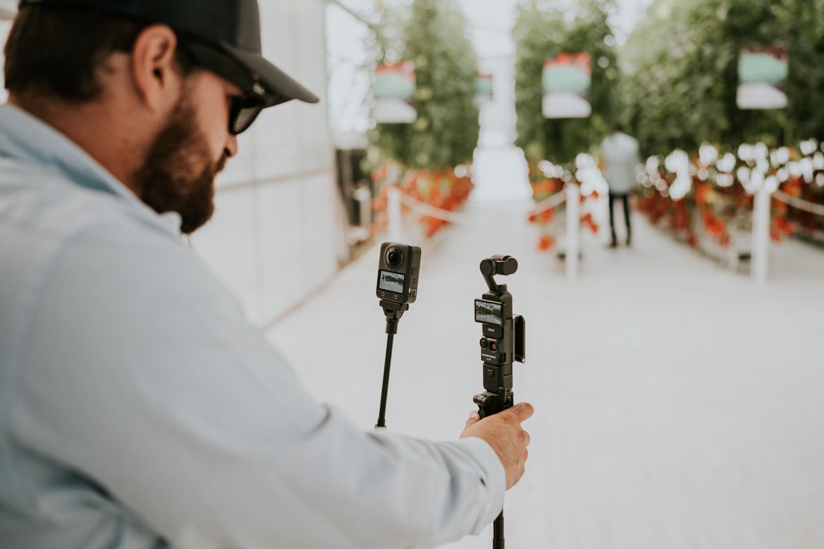 A technician uses cameras to record in a vibrant greenhouse filled with tomato plants.