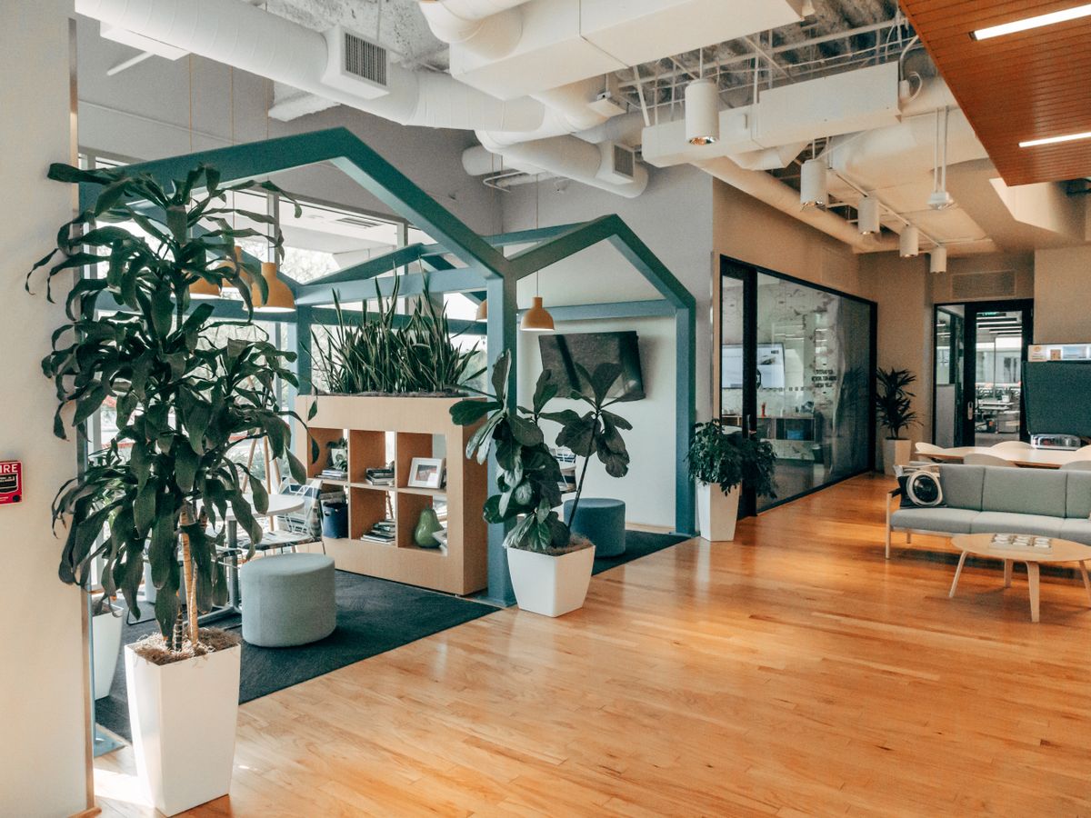 Stylish open office interior featuring natural light, modern design, and vibrant greenery for a refreshing atmosphere.
