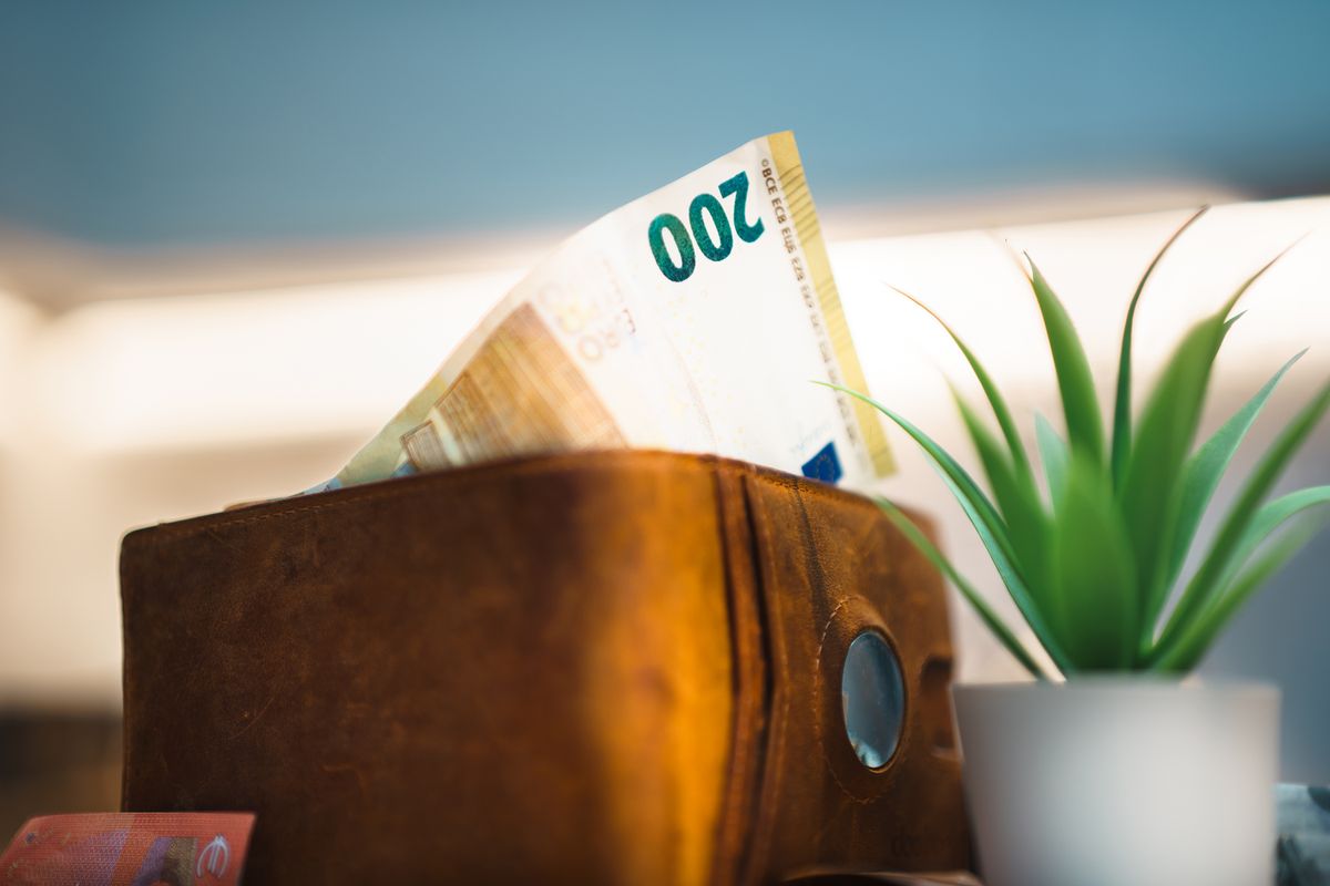 Gros plan d'un portefeuille en cuir contenant des billets en euros à côté d'une petite plante, symbolisant l'épargne.