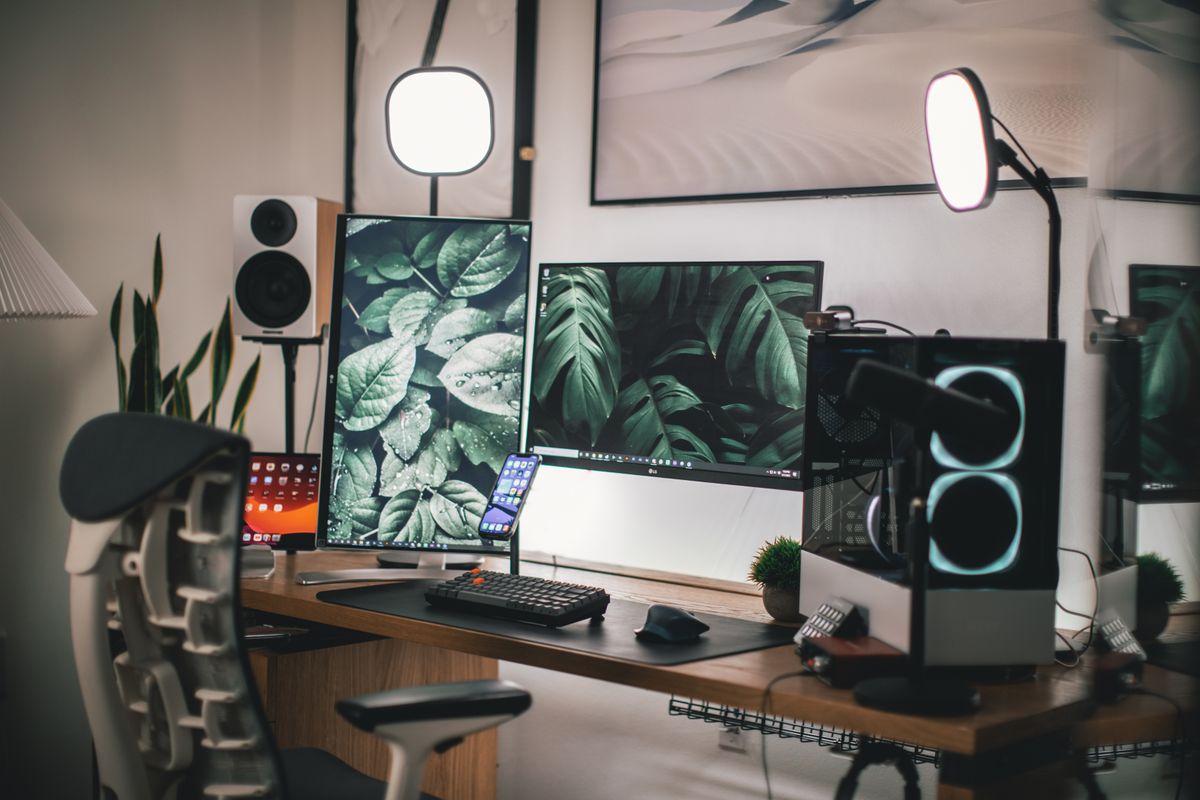 Présentation de l'Elgato Wave DX : design, connectique, capsule dynamique, compatibilité